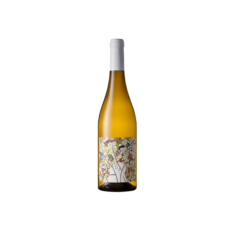 Muscadet Côtes de Grandlieu sur lie -Les Parcelles- Domaine des Hautes Noëlles-2022- 75 cl