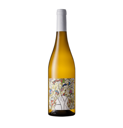 Muscadet Côtes de Grandlieu sur lie -Les Parcelles- Domaine des Hautes Noëlles-2022- 75 cl