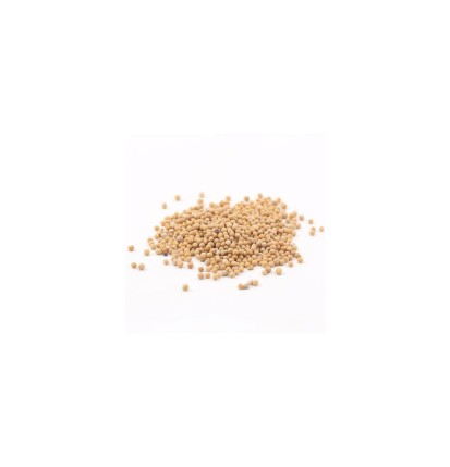 Graines de moutarde blonde -Boîte 90 g- Terre exotique