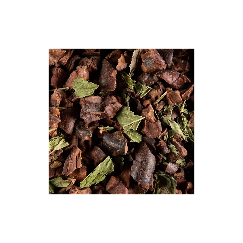 TISANE CACAO MENTHE - Dammann Frères-