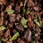 TISANE CACAO MENTHE - Dammann Frères-